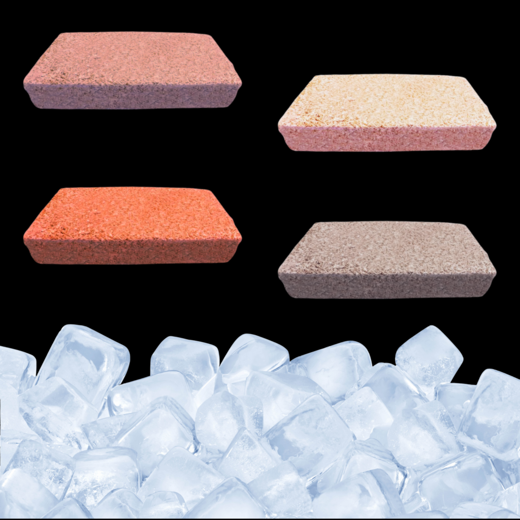 Artemia-Frozen (5Kg, Bulk)